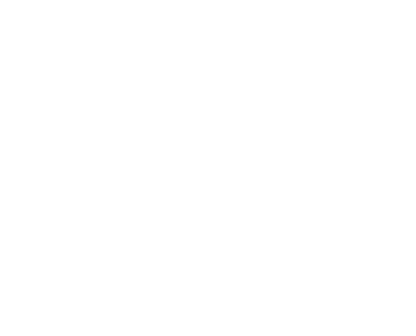 New York Lift-Off Film Festival laurels